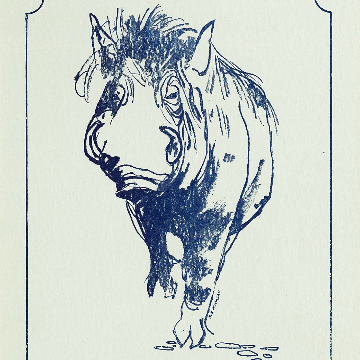 Downstage Theatre: "Zoo Story"