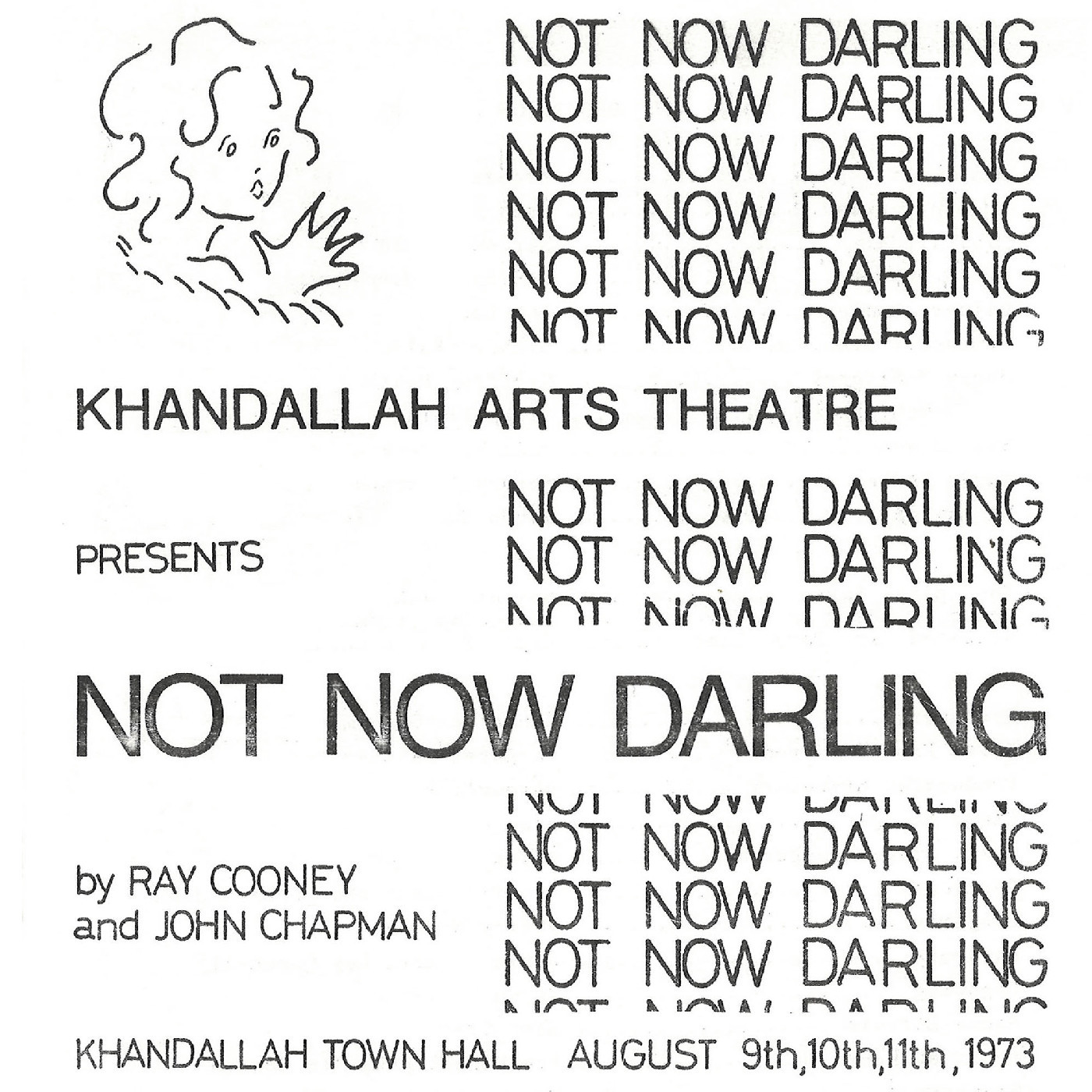 Khandallah Arts Theatre: "Not Now Darling"