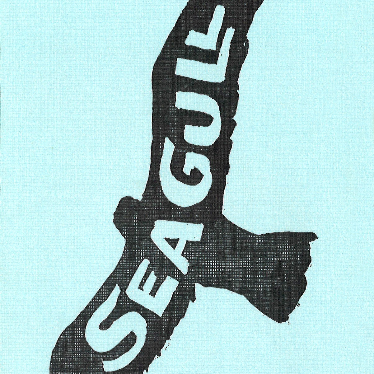 Karori Dramatic Society: "The Seagull"