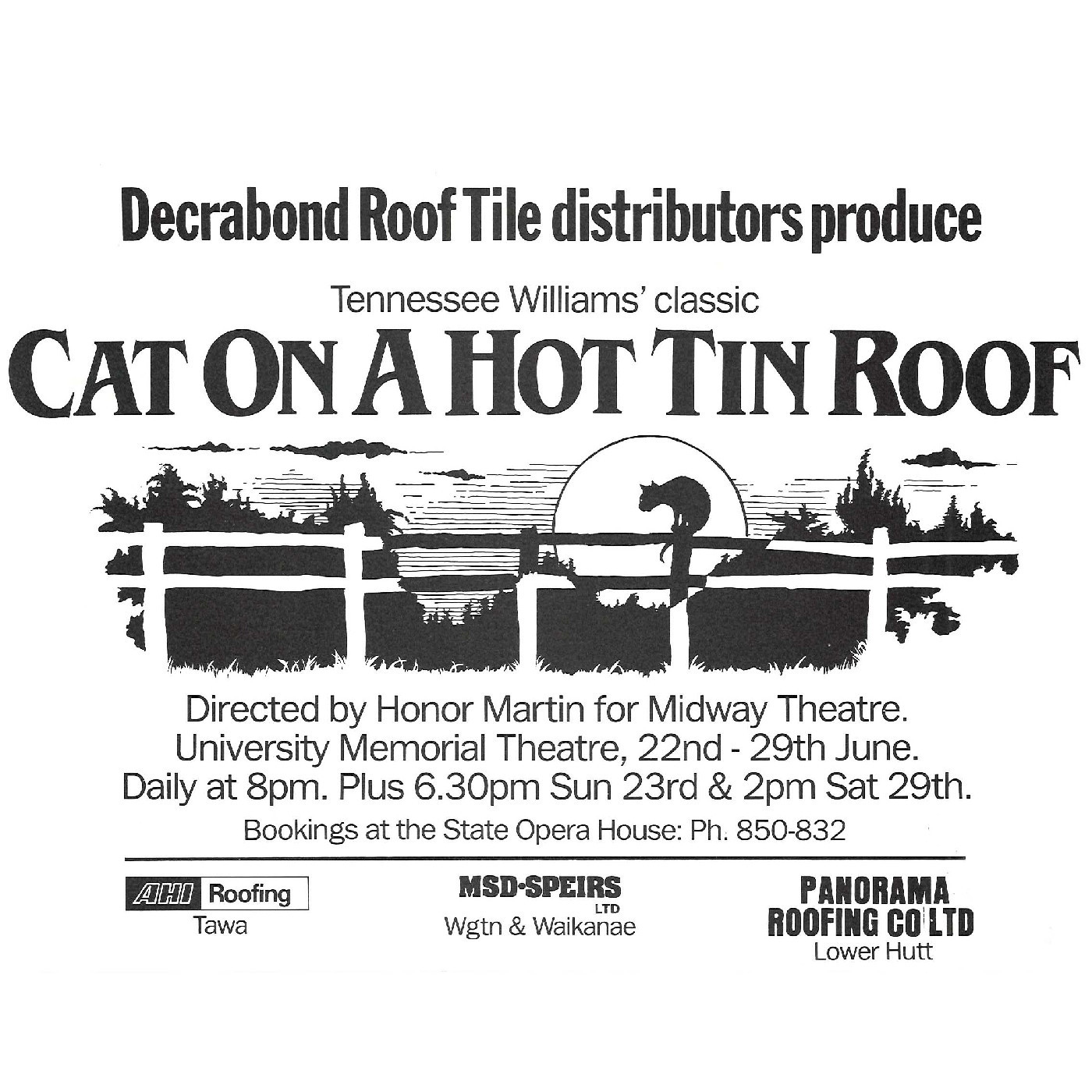 Cat On A Hot Tin Roof