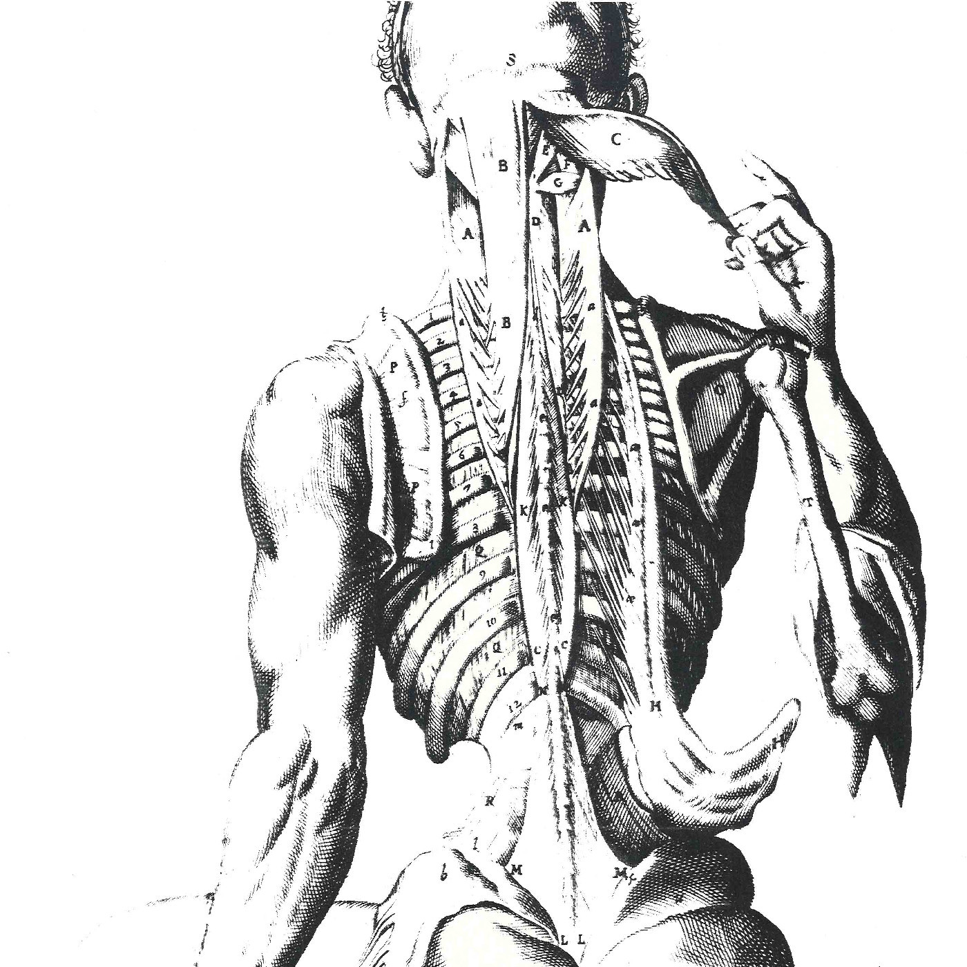 Circa Theatre: "The Duchess of Malfi"