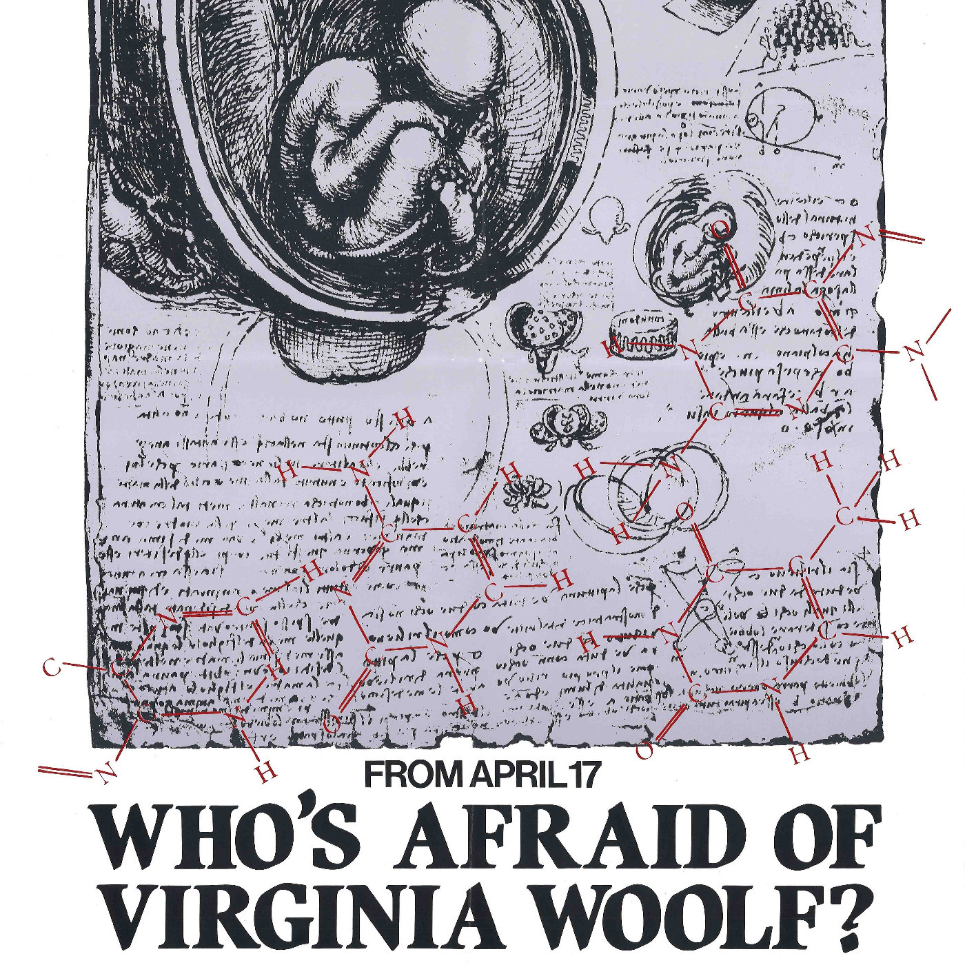 Downstage Theatre: "Who's Afraid of Virginia Woolf?"